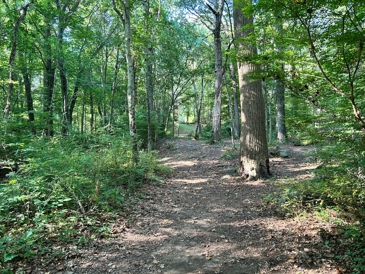 Hole 16