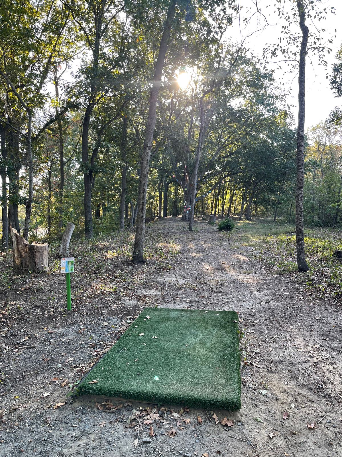 Hole 10 short