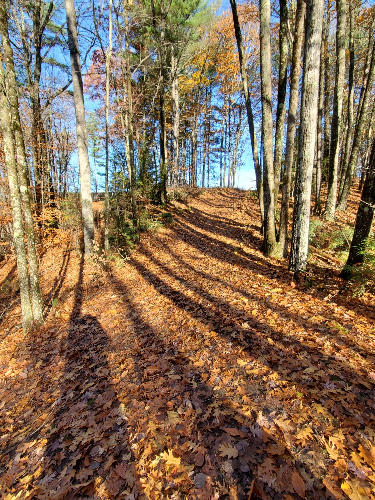 Hole 8