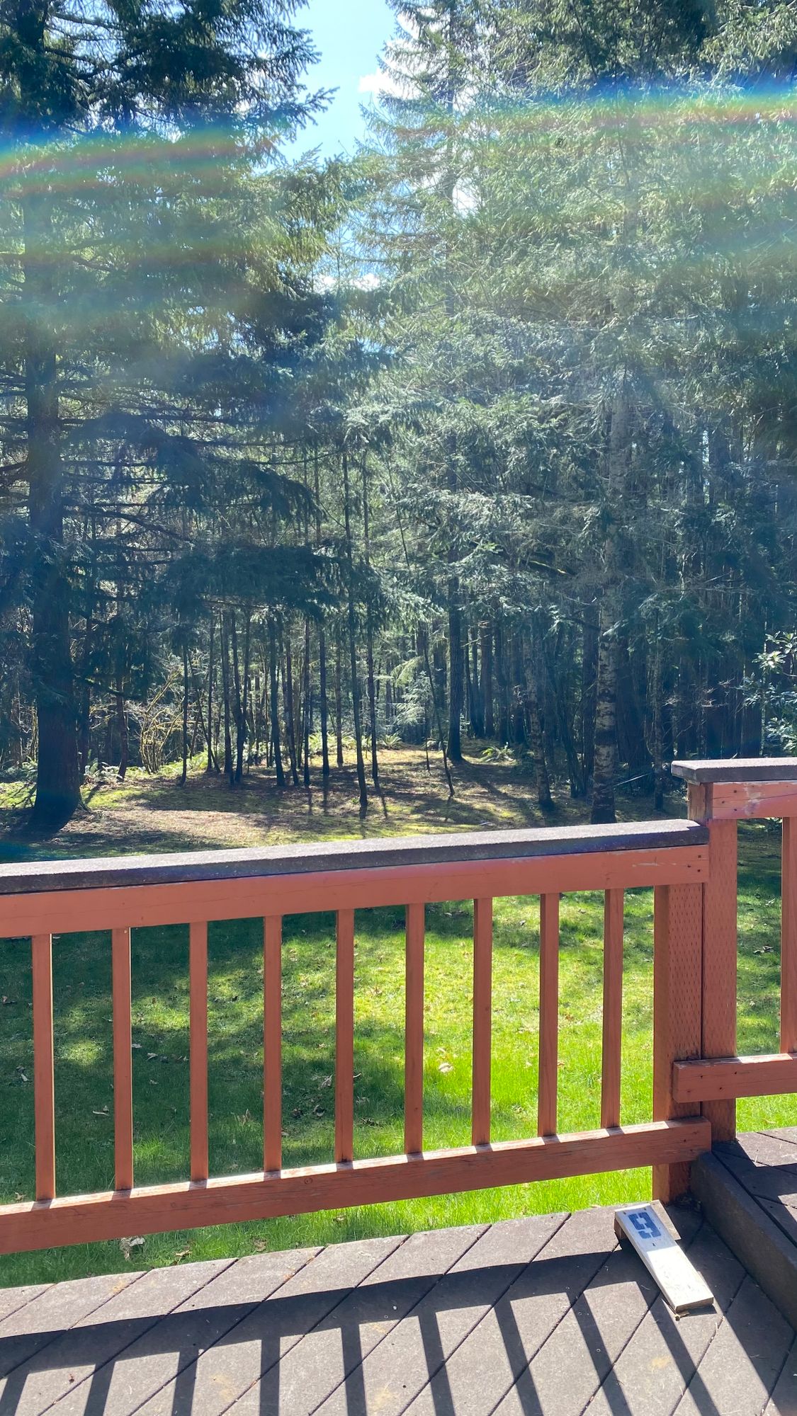 Hole 9 Tee is from thee deck. Basket on edge of steeeeep bank into dense forrest. Use caution!