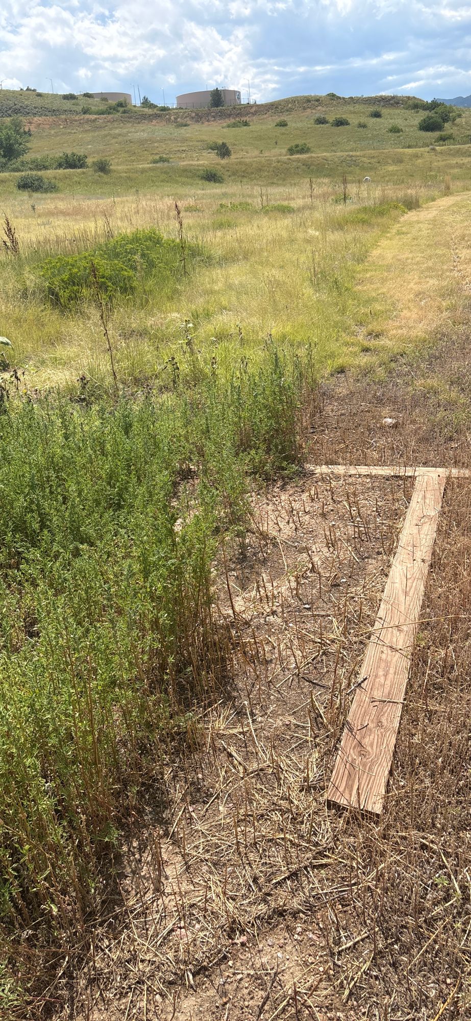 Tee pad one