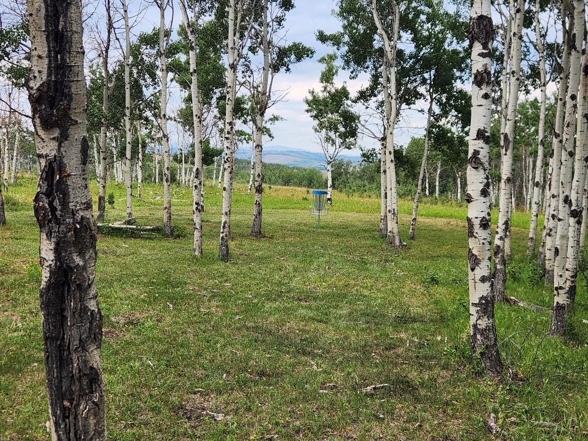 Hole 11