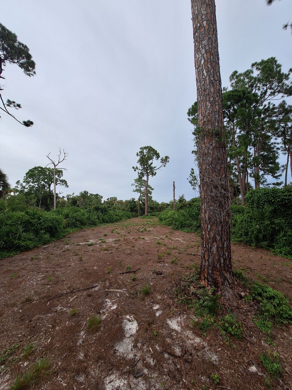 Hole 4 fairway looking at the pin