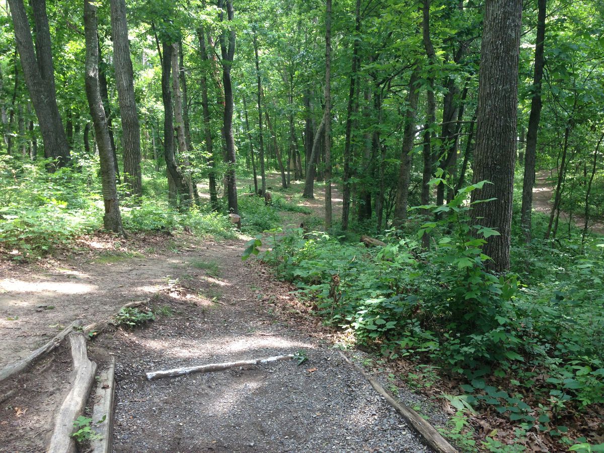 Hole 8