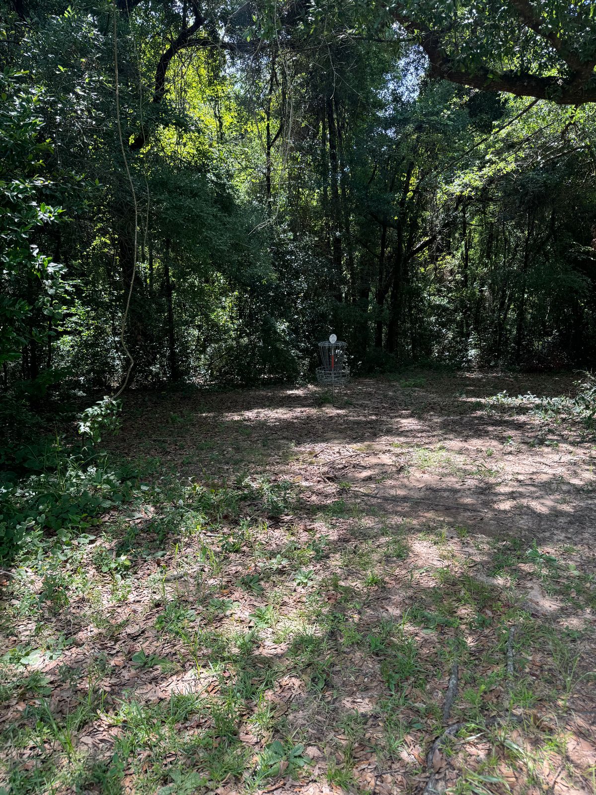 Hole 10