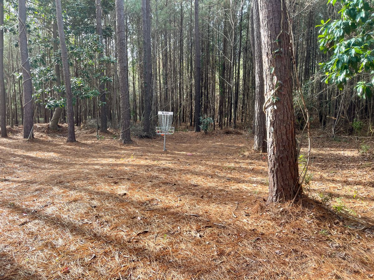 Hole 16 approach