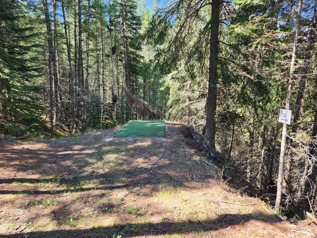 Hole 3 tee pad