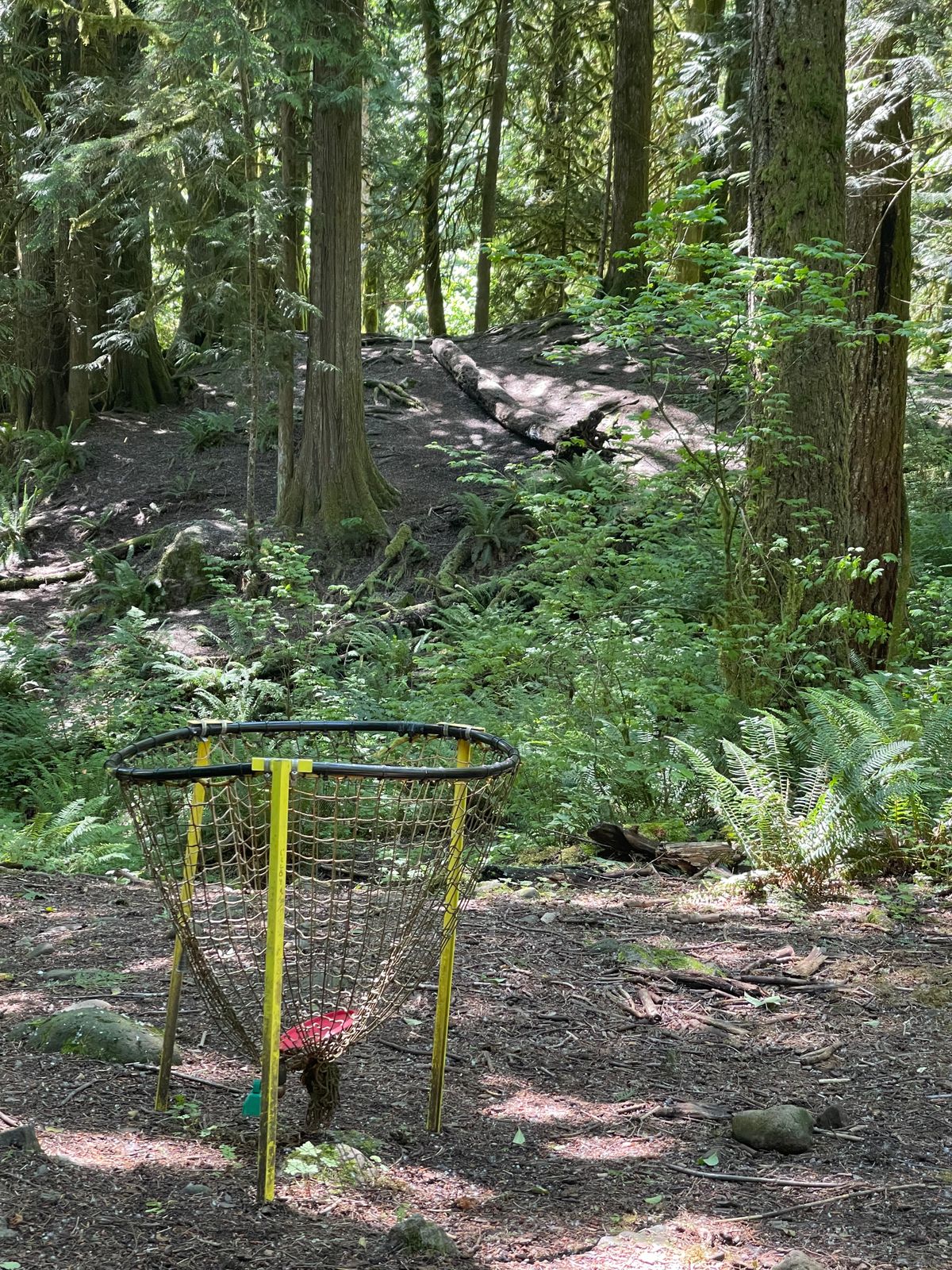 Typical basket. Works better than you might expect. The additional bear-bells adds a nice jangle.