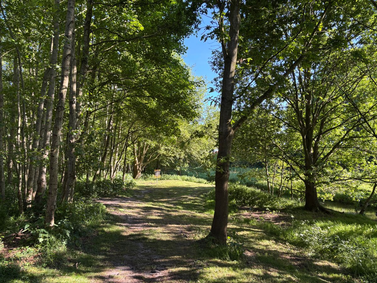 Hole 15