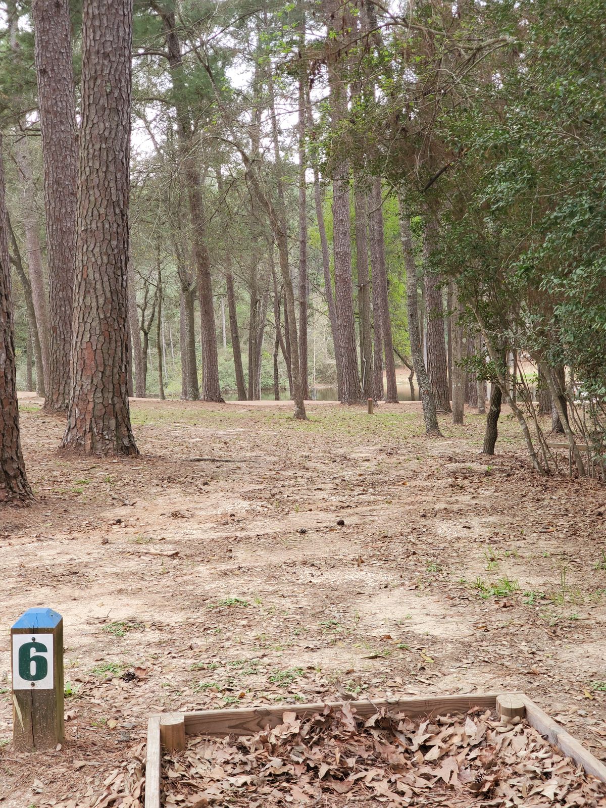 Hole 6 blue tee