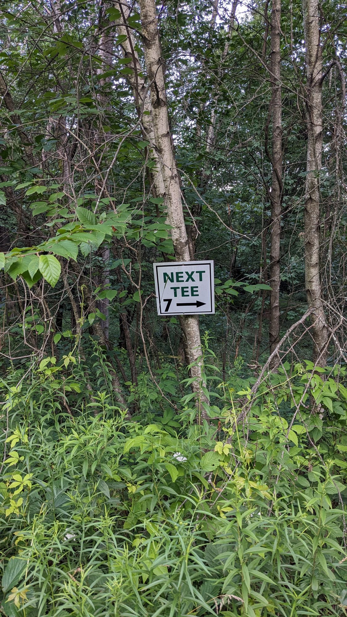 Good signage and layout
