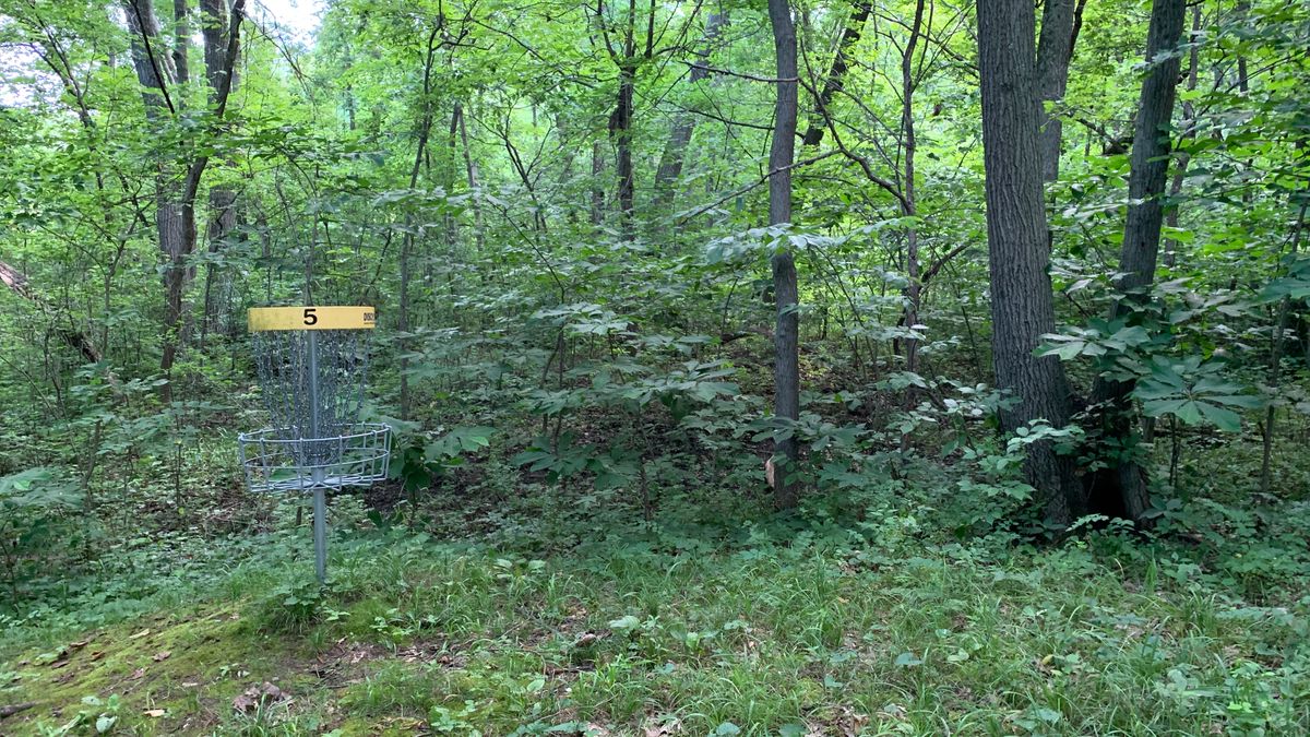 Hole 5
