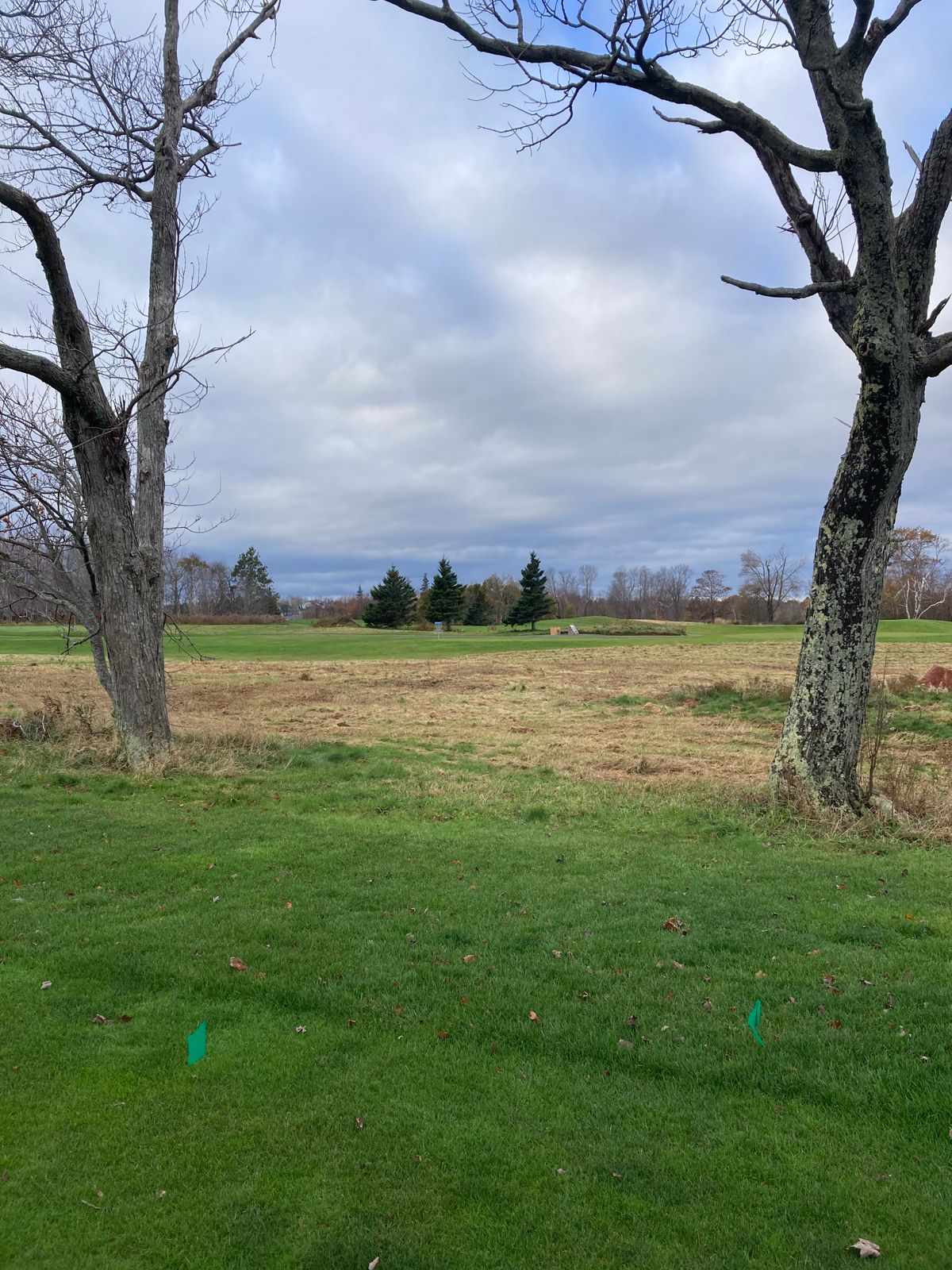 Hole 16 Green tee (and drop zone).