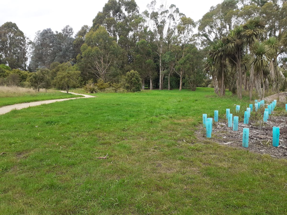 Hole 7 Potential Tee
