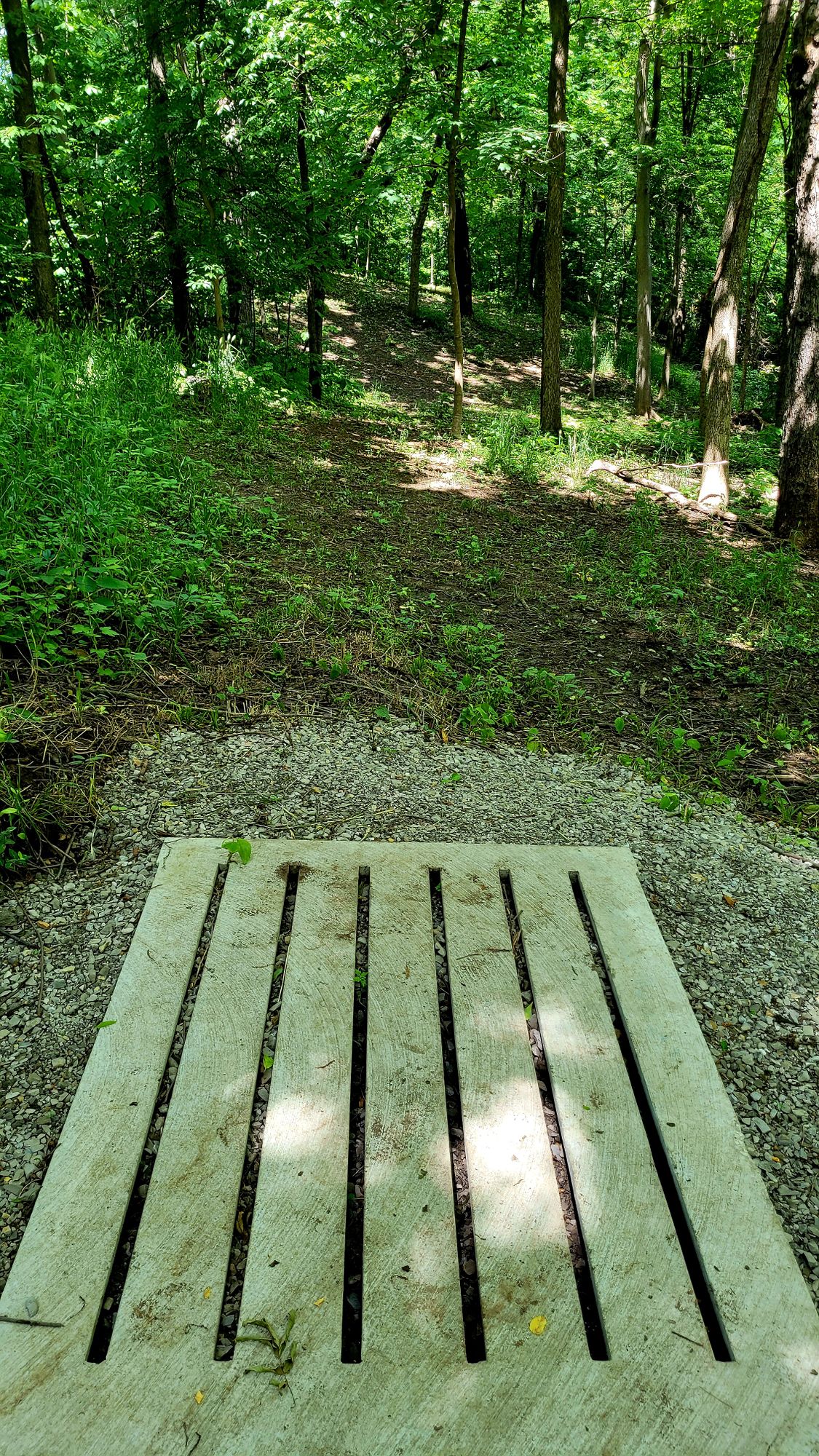 Hole 3