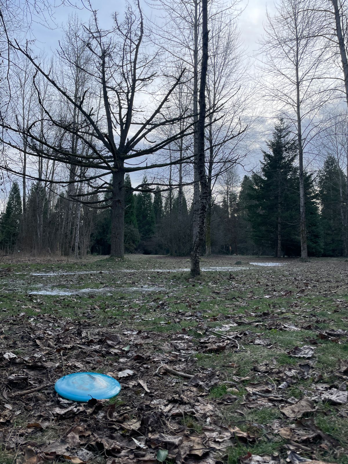 Hole 22