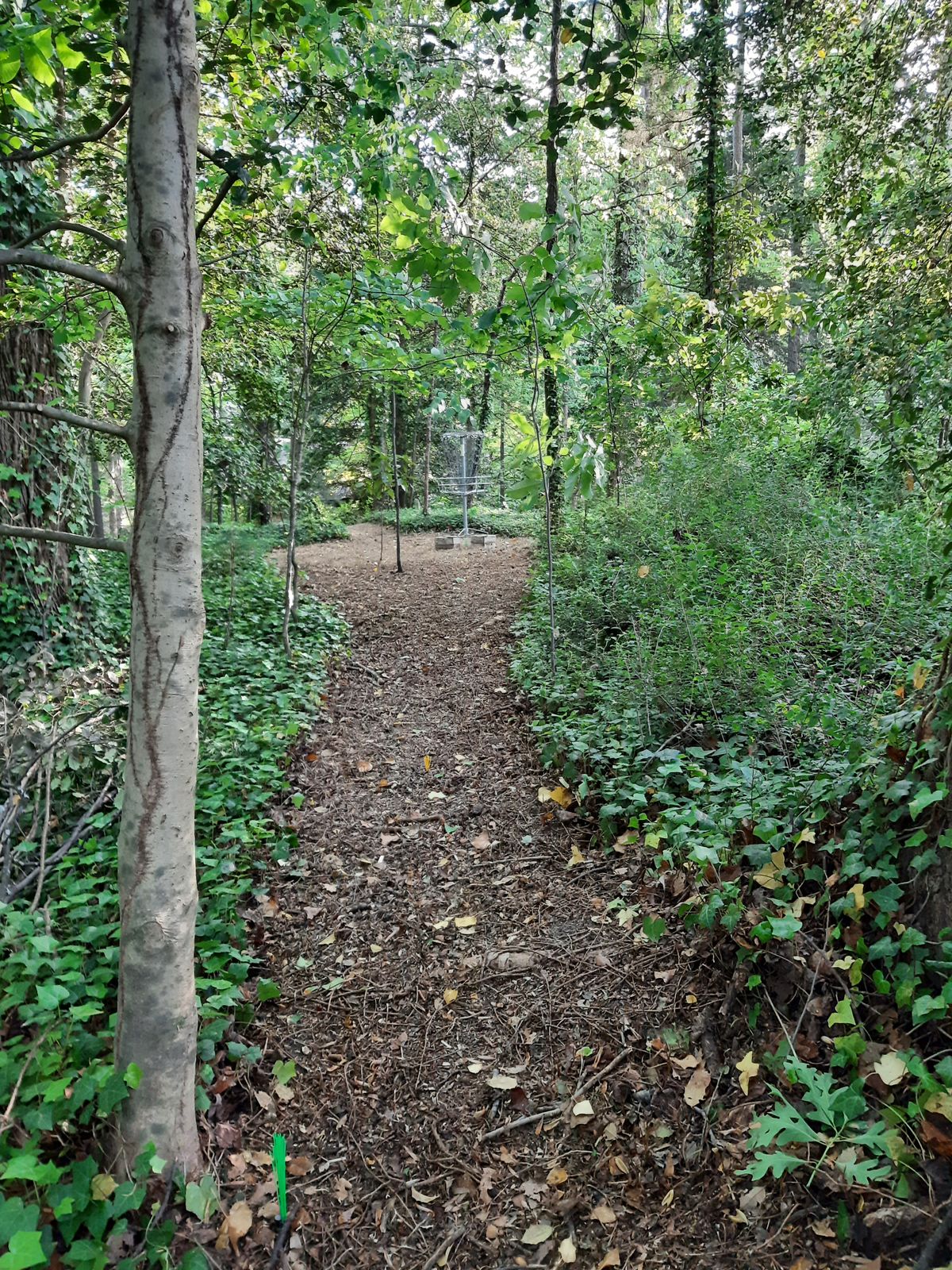 Hole 21 Red Tee
