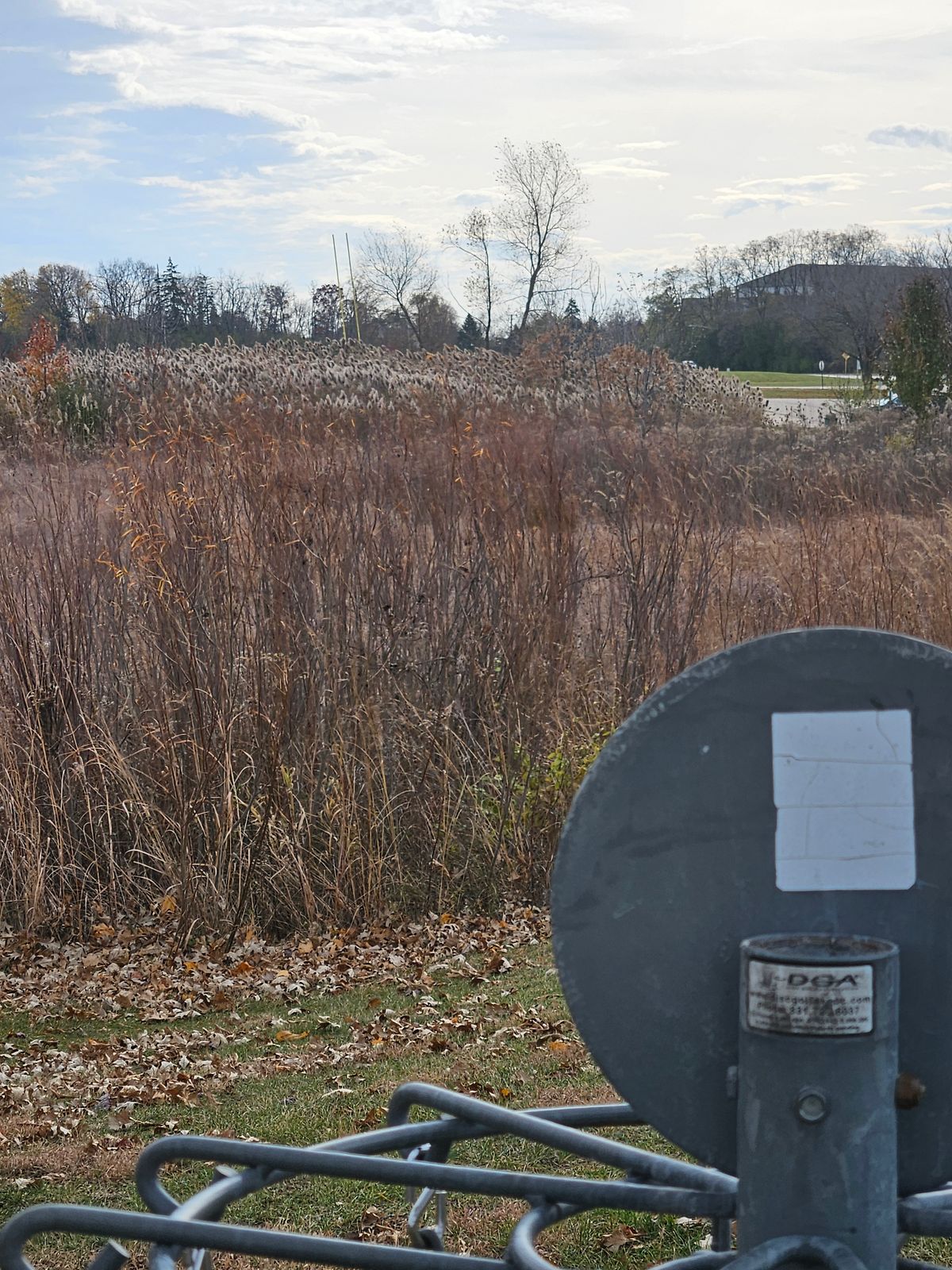 Hole 7 looking back to the tee. A 300 foot blind carry over the cattails.