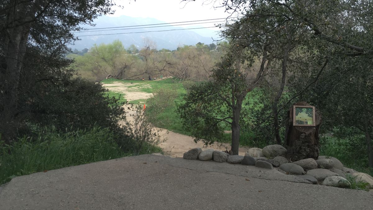 Hole 5