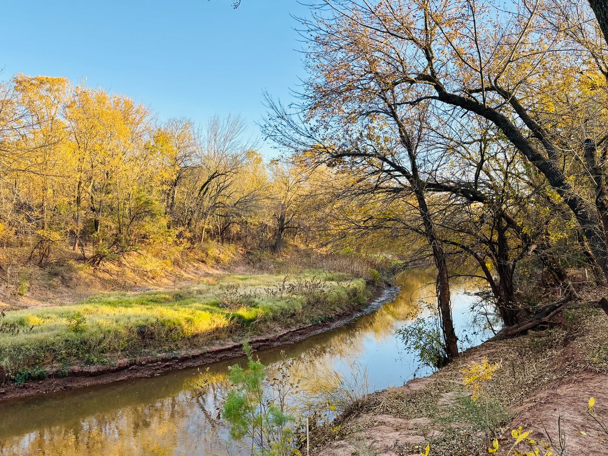 Looking out over river from number 12 basket.