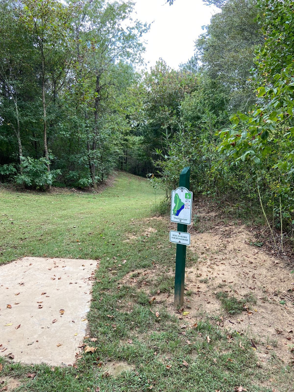 #6 Tee box