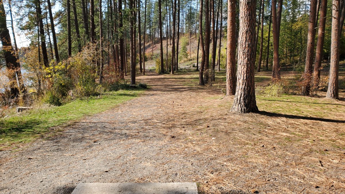 Tee pad hole 8