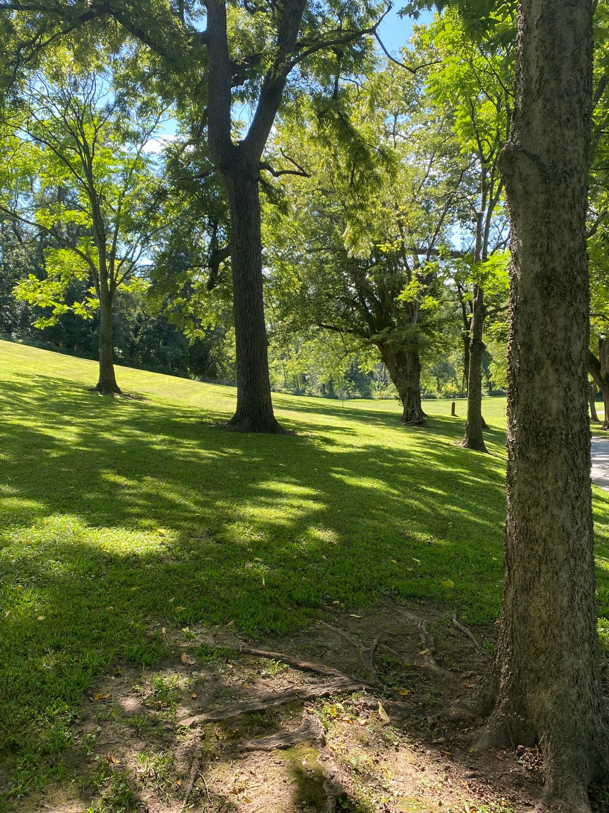 18 fairway