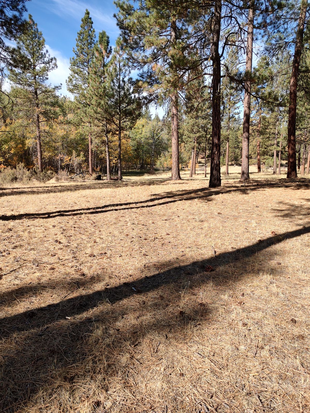 Hole 12  middle of fairway, looking towards basket.