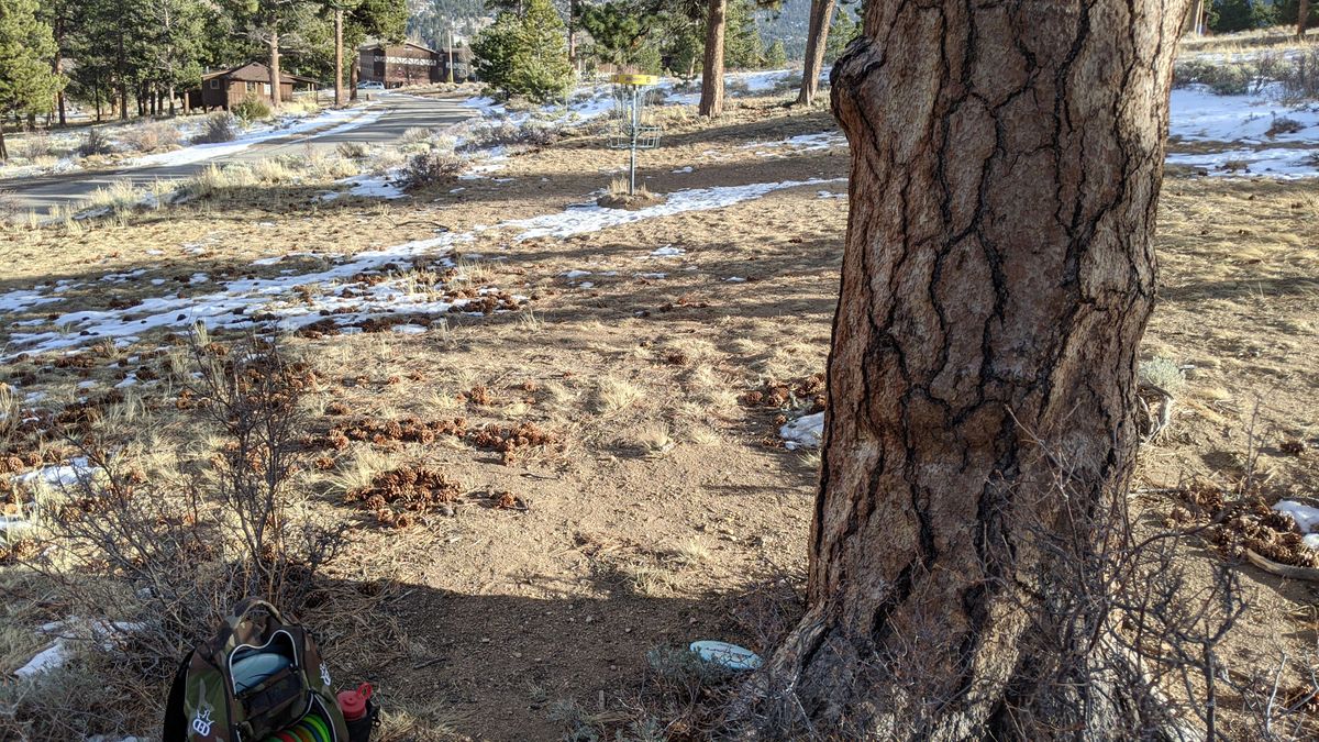Hole 6 basket.