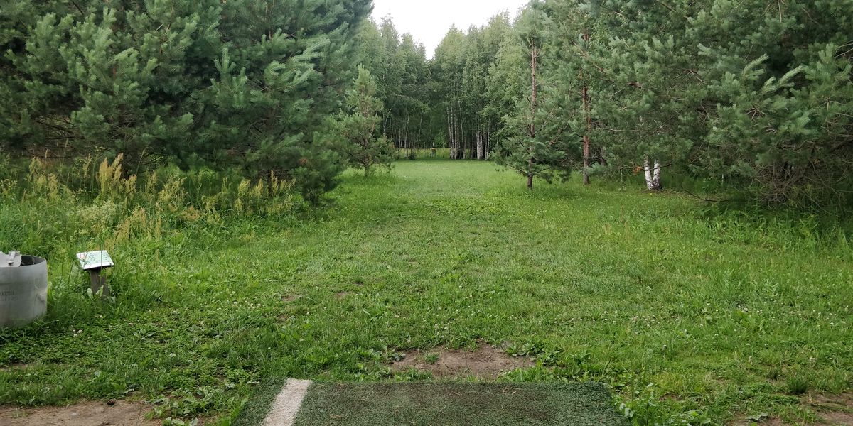 16. Rada