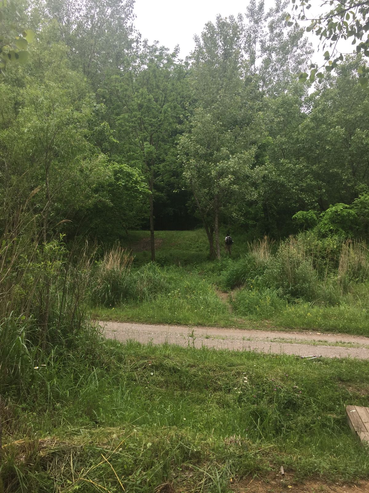 Hole 7 tee