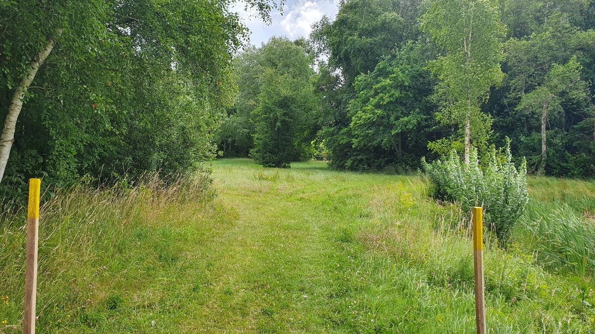 Naturen er skøn