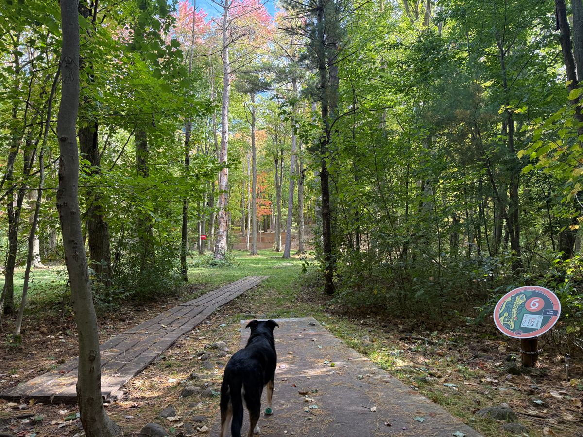 Hole 6