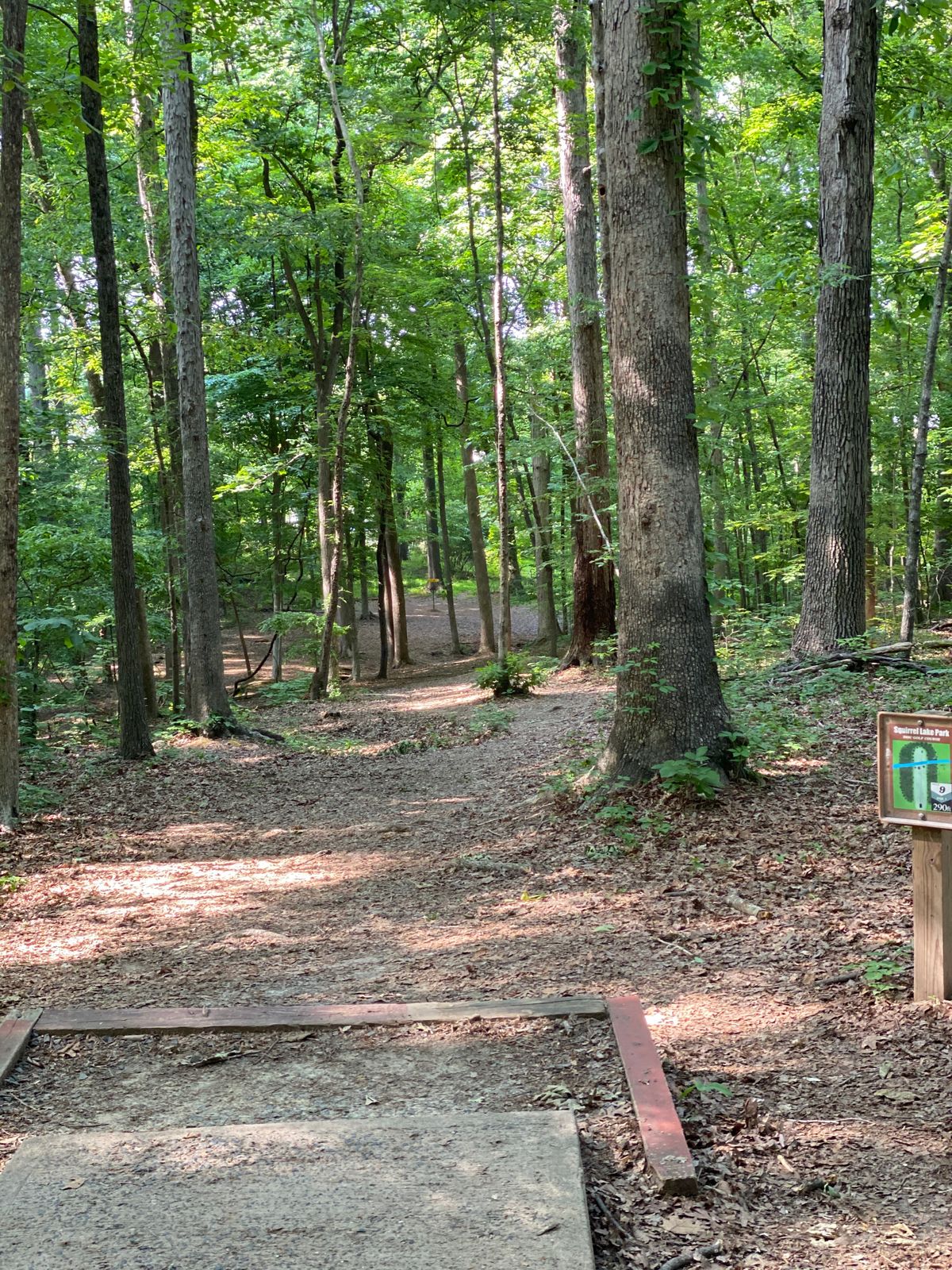 Hole 9 tee