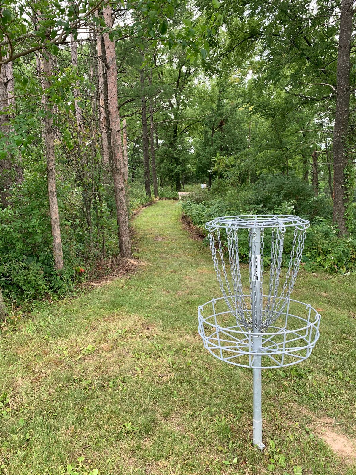 2 basket looking up at 3 tee.