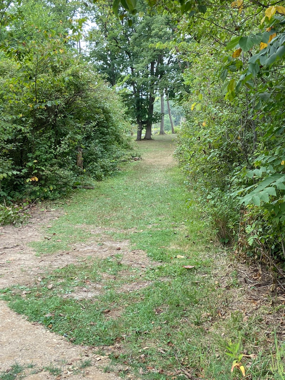 Narrow fairway on 1 tee pad