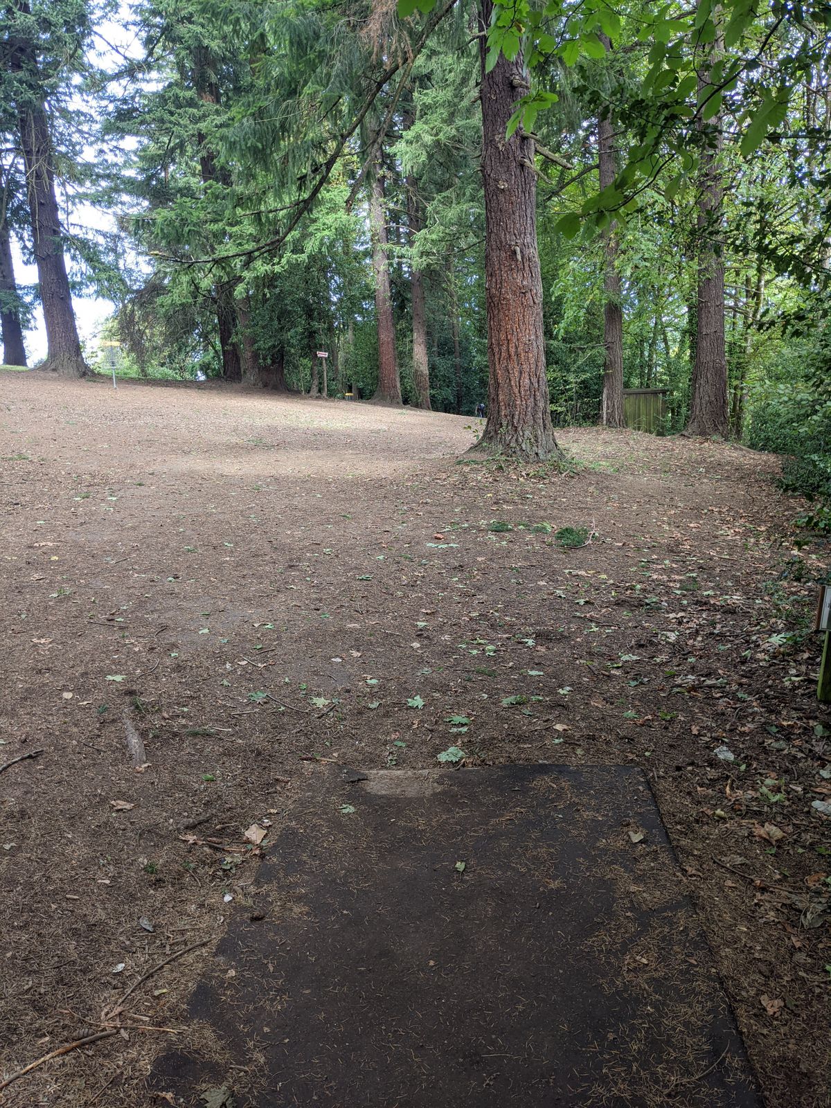 Hole 10 tee box