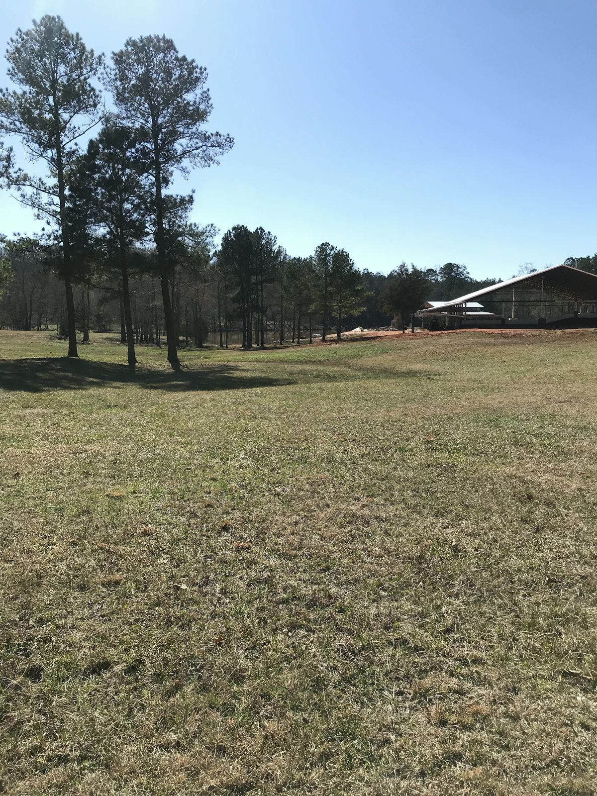 Hole 18 - fairway to basket