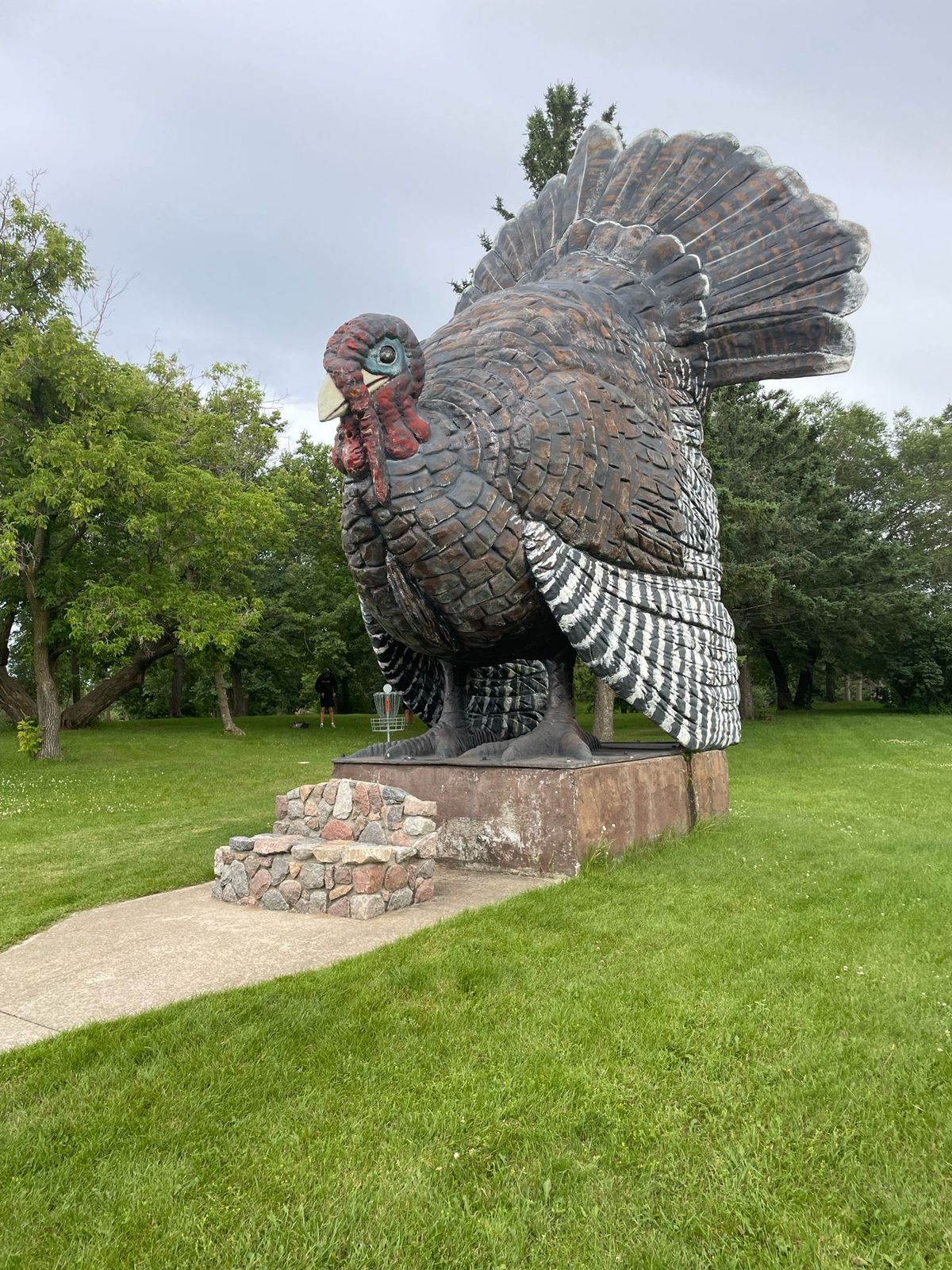 The worlds largest turkey