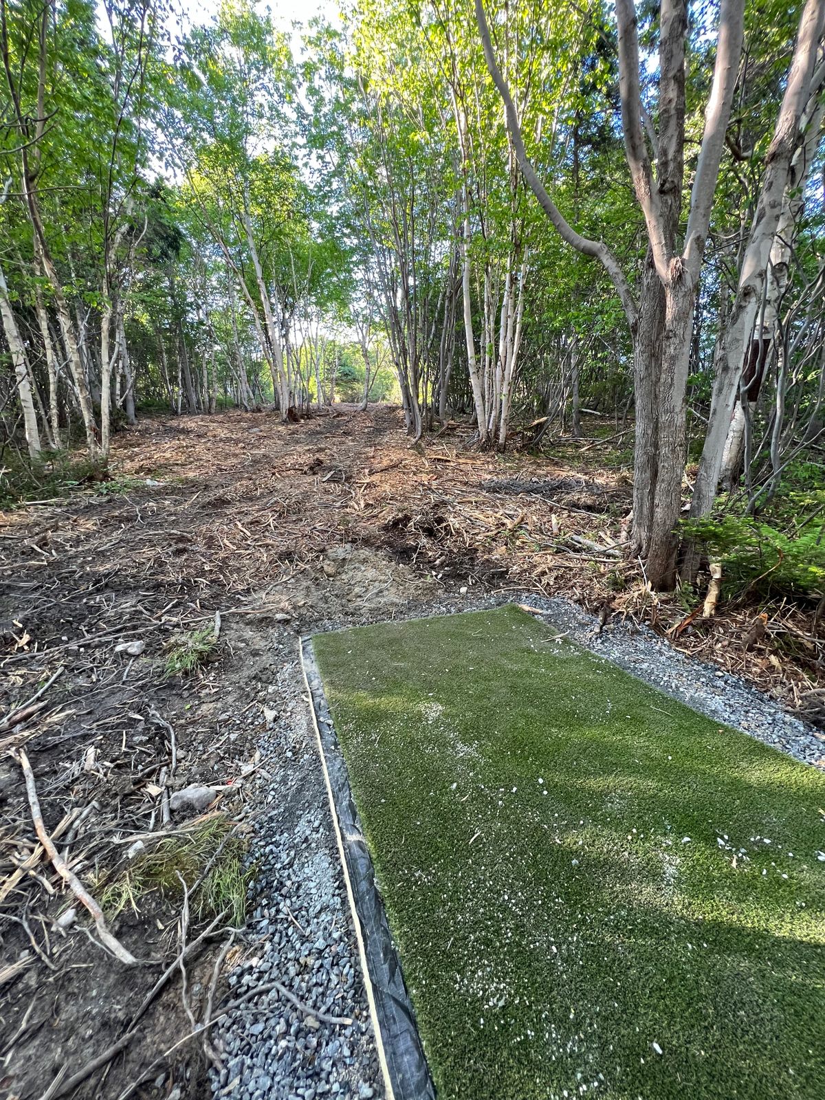 Hole 3, Red tee