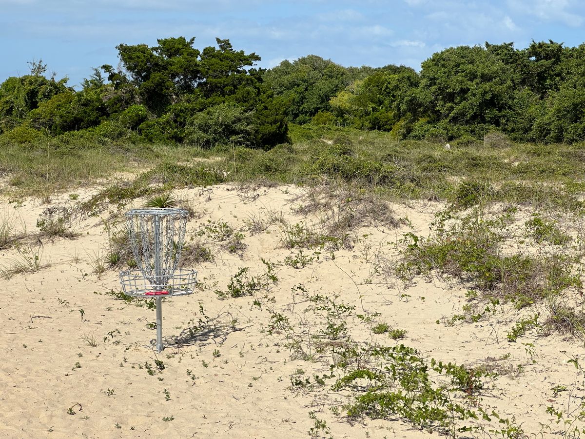 Hole 8 basket.  (Looking  back towards tee.)