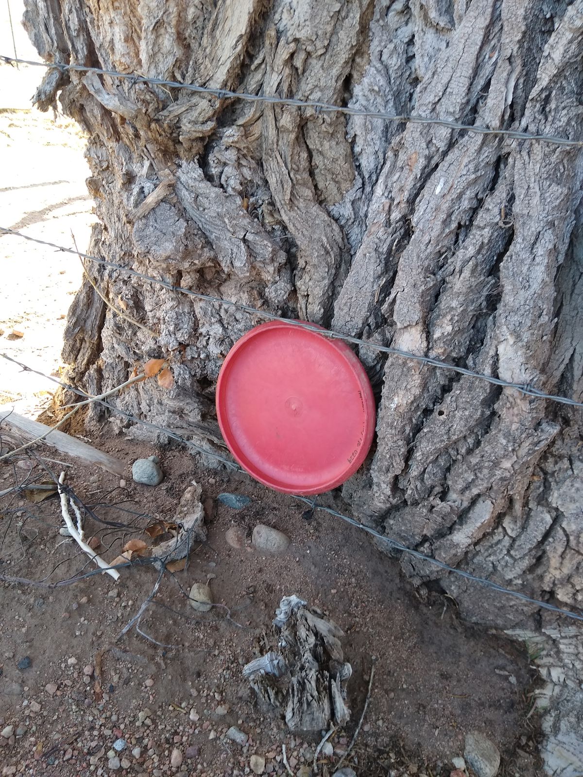 Taking A Tree Save To A Entire New Level.