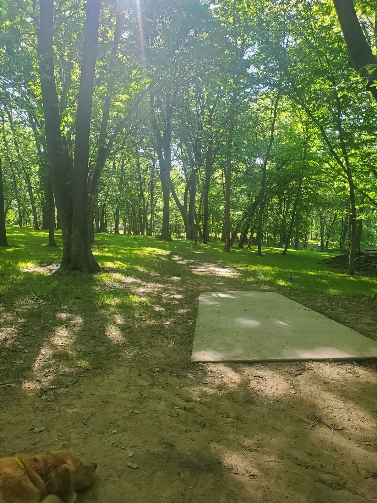 Hole 15