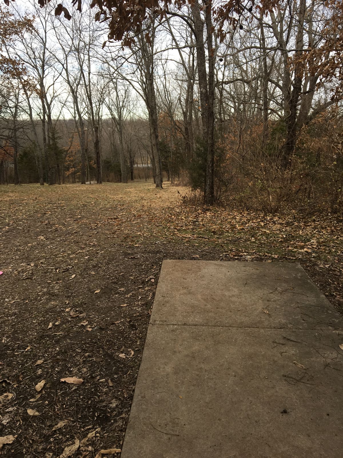 Hole 3 Tee (Long)