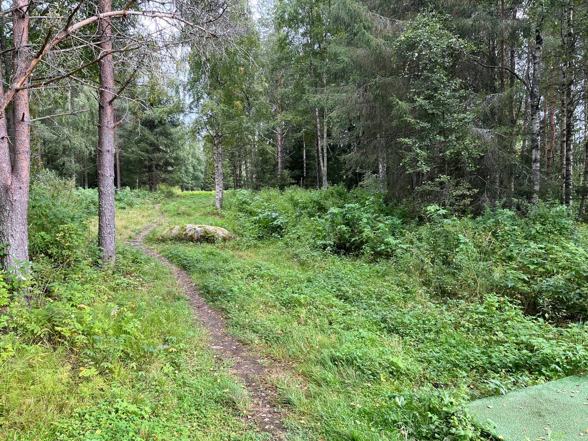 Väylä 17