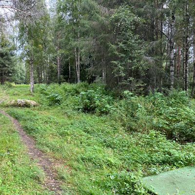 Väylä 17