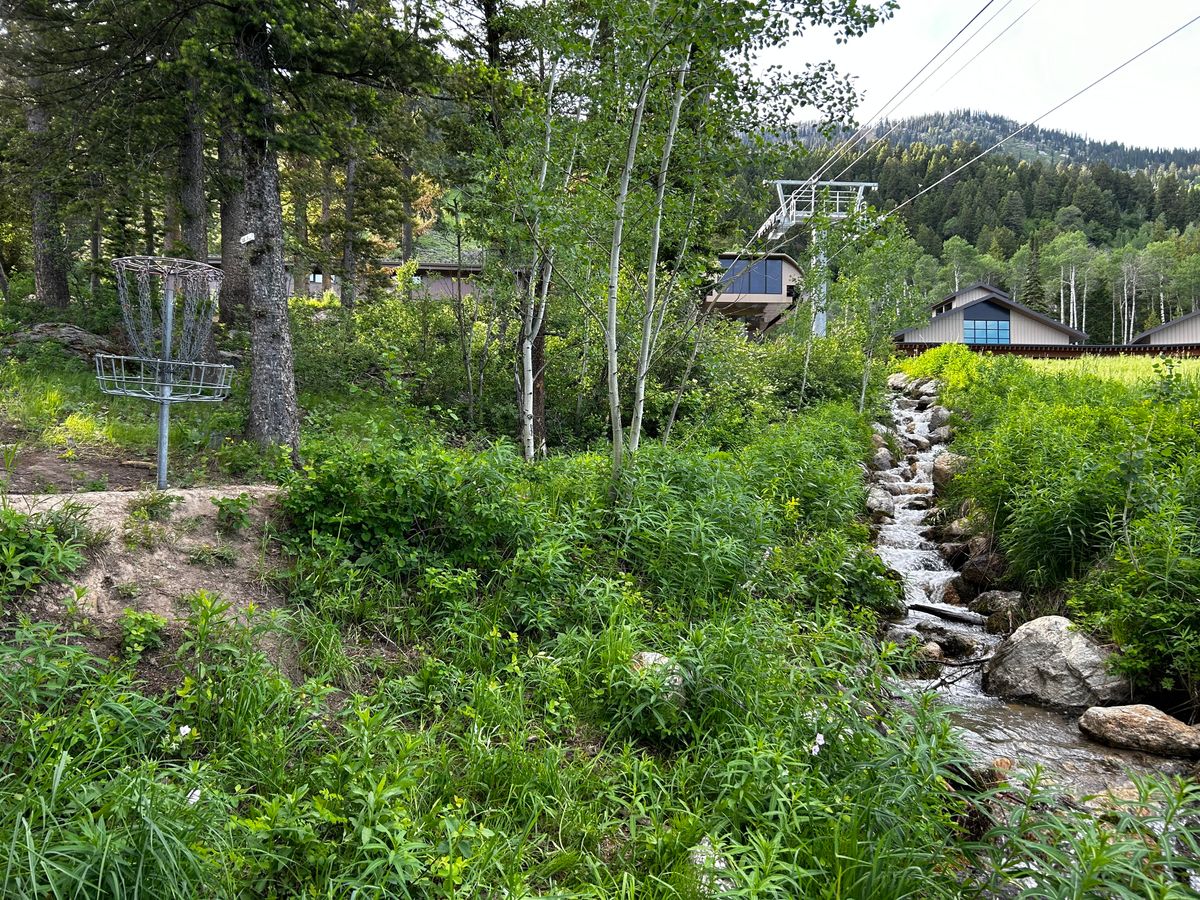 Hole 12 green with cascading creek behind basket (shown) as well as before basket