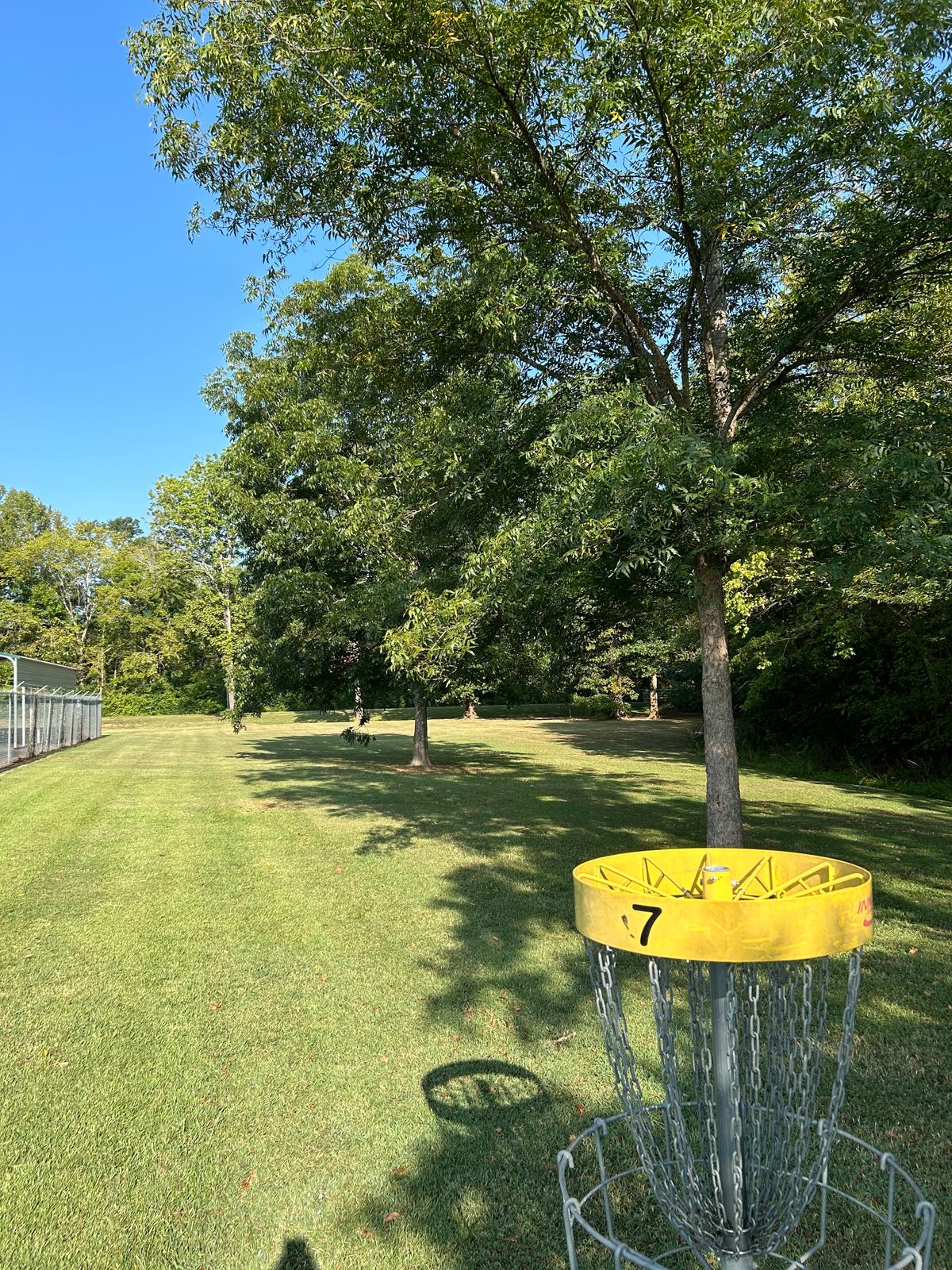 Hole 7 Basket