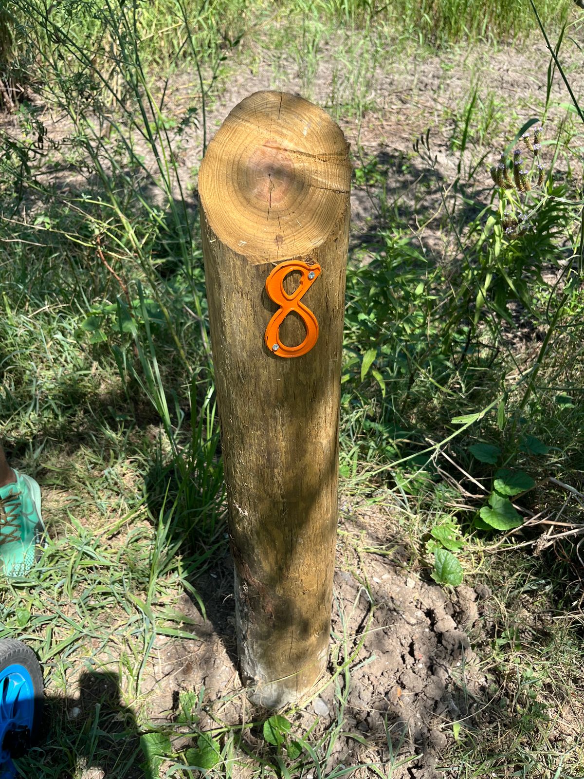 Hole 8