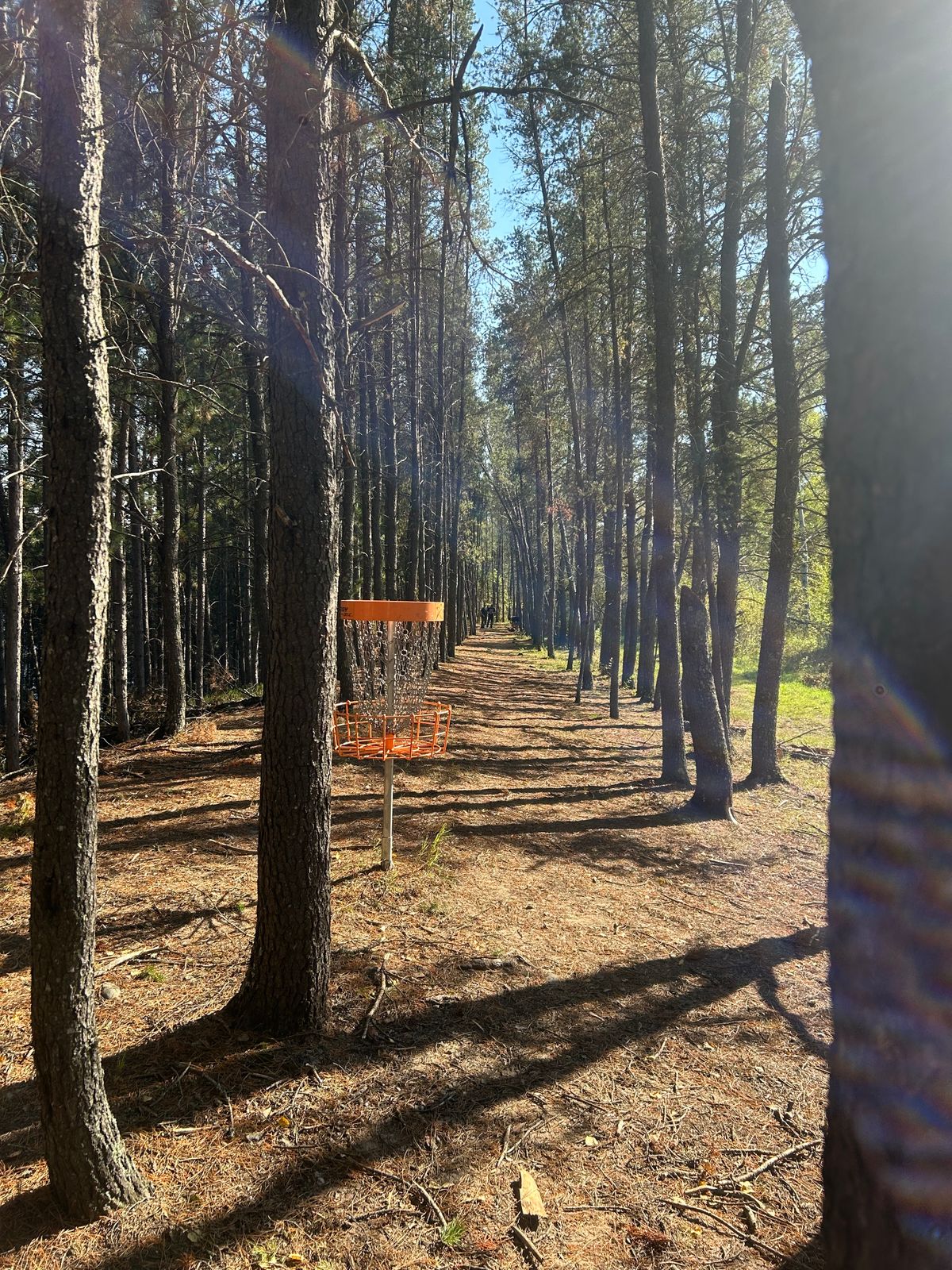 Hole 14 looking back down the fairway